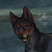 Blueschist Chase Headshot