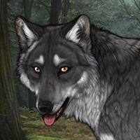 Wolf Headshot