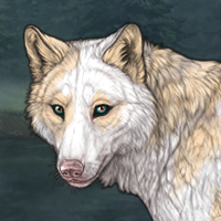 Piebald Torn novus eyes Headshot