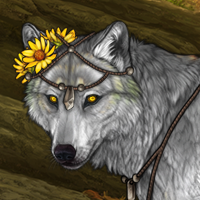 Zasha Headshot