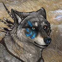 Wolf Headshot