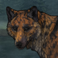 Blueschist Headshot