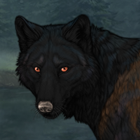 Nightbark Headshot