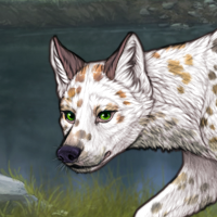 TII Dalmatian Fem Headshot