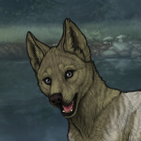 Enclave Puppy Headshot