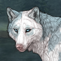 Piebald: Torn Headshot