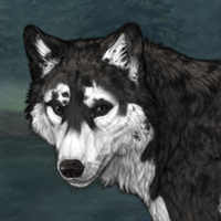 ♡ Husky Headshot