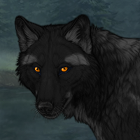 Perdita Headshot