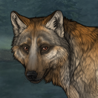Coyote's Vertigo Headshot