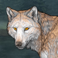 Wolf Headshot