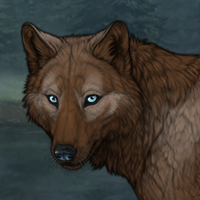 Skoll Headshot