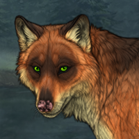 Fox Wraith Headshot