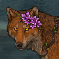Wolf Headshot