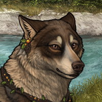 Wolf Headshot