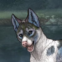 Piebald f Headshot