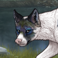 Piebald f Headshot