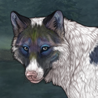 Piebald f Headshot