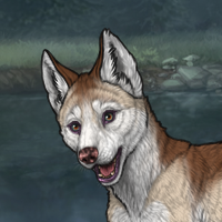 6m6r g2 husky Headshot