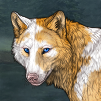 Snowypelt Headshot