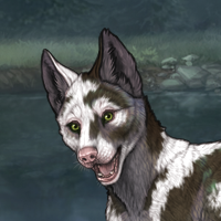 Skarn Piebald Headshot