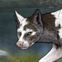 Skarn Piebald Headshot