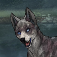 R&C T2 Husky Eyes Headshot