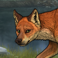 HOLLY FOX - Reserved C Headshot