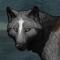 Wolf Headshot