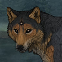 Woodear Headshot