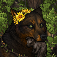 🐻Bear🐻 Headshot