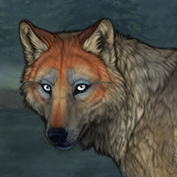 Tuftpelt Headshot