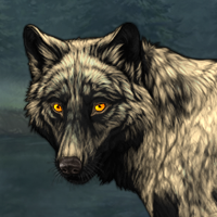 Wolf Headshot