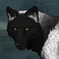 Wolf Headshot