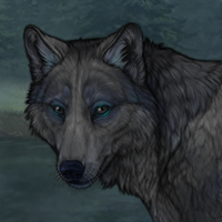 Midnight Headshot