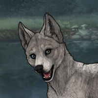 Silver's Howl Headshot