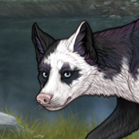 Piebald M | rare marks Headshot