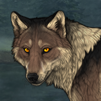 Wolf Headshot