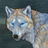 Frosted Howl Headshot