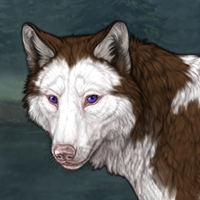 Piebald: Frontal Male Pup Headshot