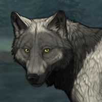 Wolf Headshot