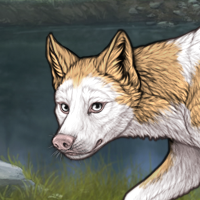 Piebald Frontal Headshot