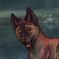 CORUNDUM Headshot