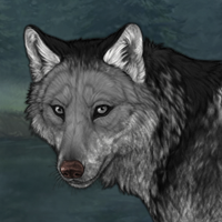 Wolf Headshot