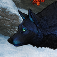 Wolf Headshot