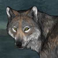 Wolf Headshot