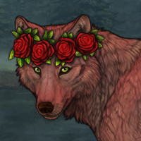 Rosepetal Headshot