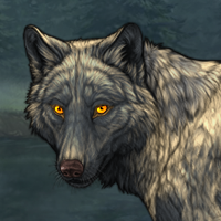 Wolf Headshot