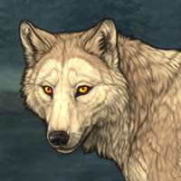 Wolf Headshot