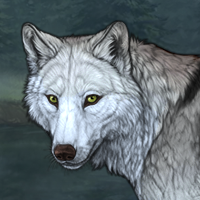 Wolf Headshot