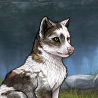 Piebald Headshot